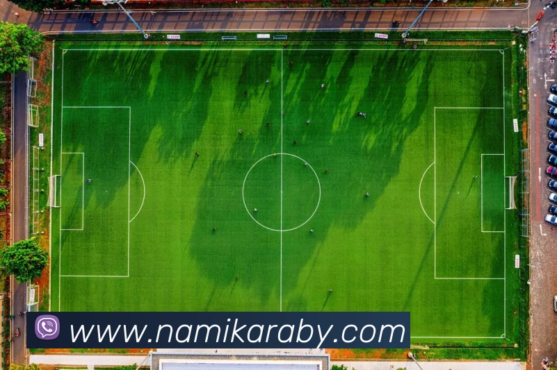 数据分析功能